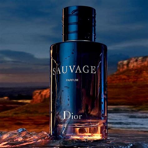 duft ähnlich jules dior|dior sauvage dupe.